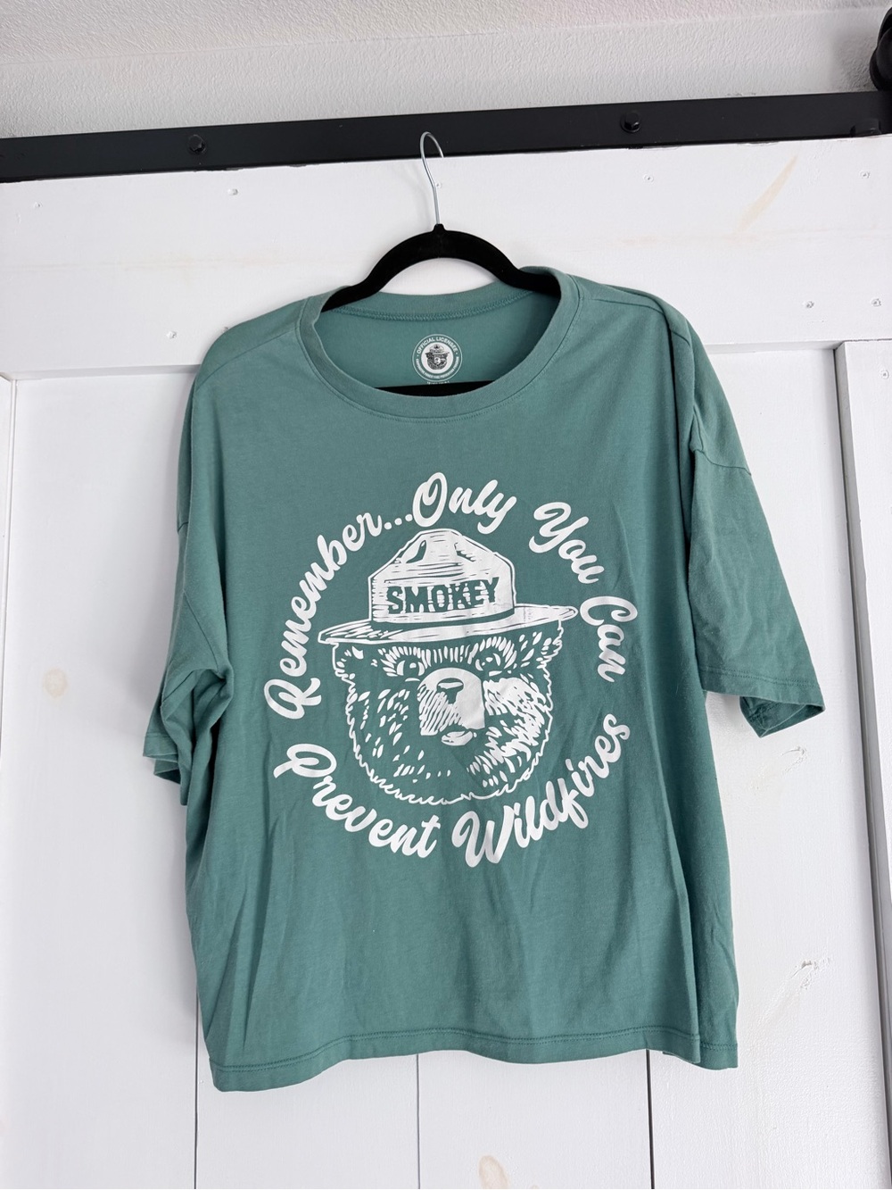 Smokey Bear 'Only You Can Prevent Wildfires' Graphic Tee - Teal Green